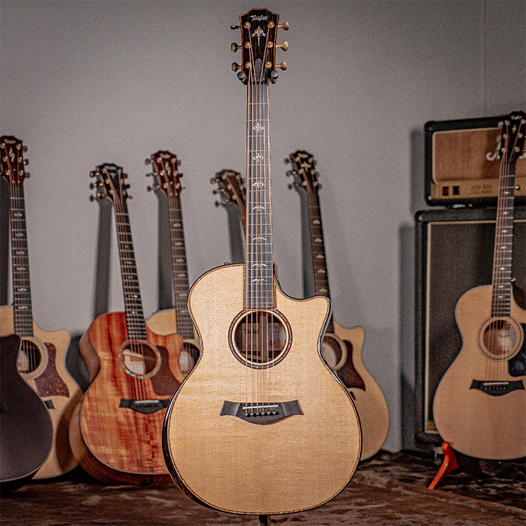 Taylor 914ce V-Class Indian Rosewood 木吉他