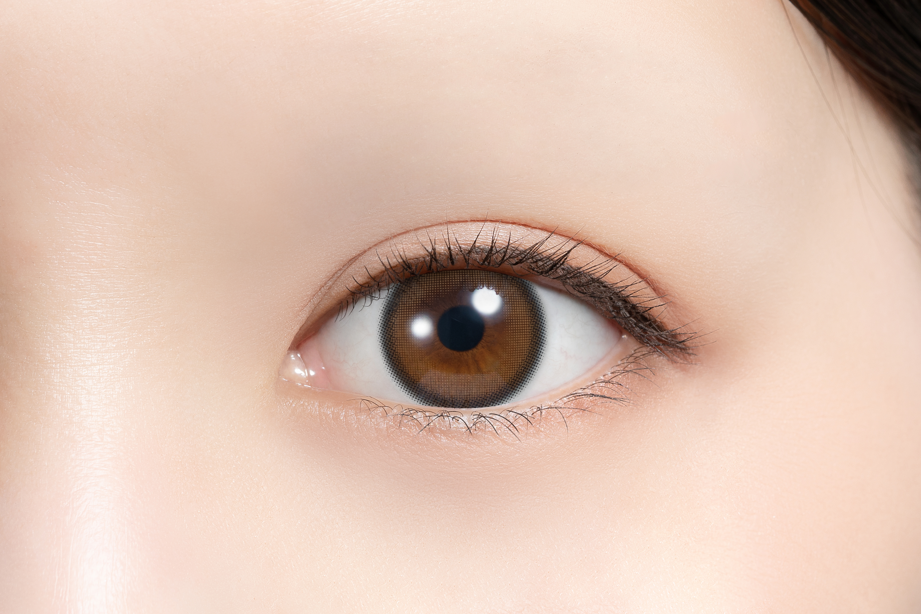 Feliamo Color Contact 1Day 日本Feliamo每日即棄有色隱形眼鏡 10片 Oolong Tea