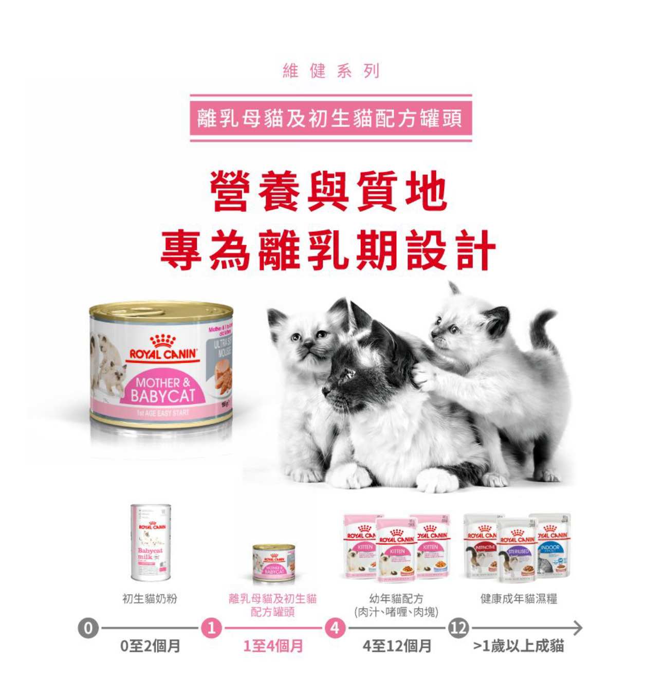 Royal Canin 法國皇家貓濕糧 - 離乳貓及母貓營養主食罐頭 （慕絲）195g（適用於斷奶至4個月幼貓）
