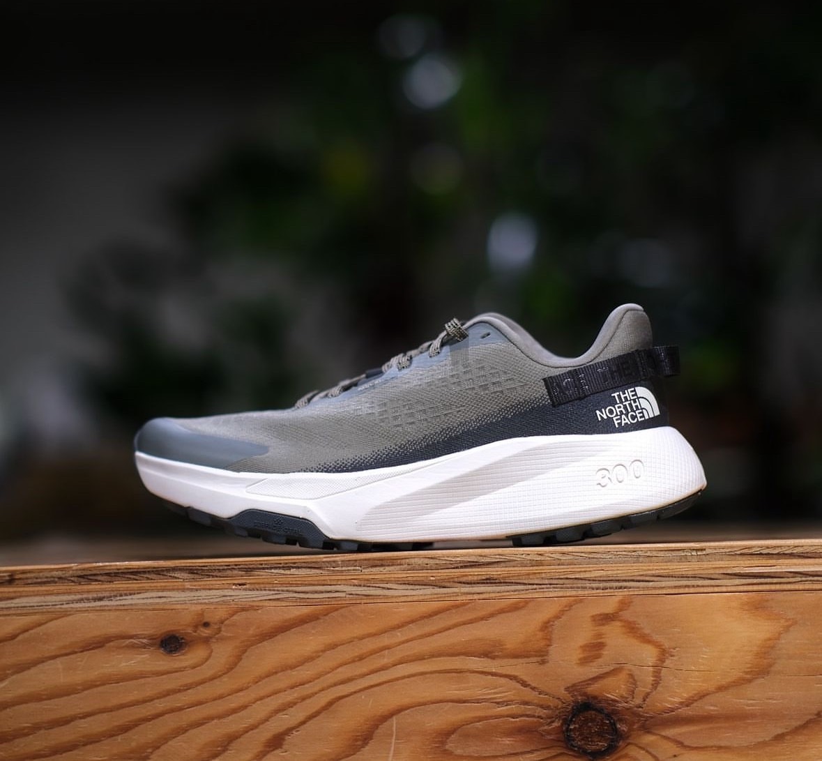 日本 THE NORTH FACE ALTAMESA 300