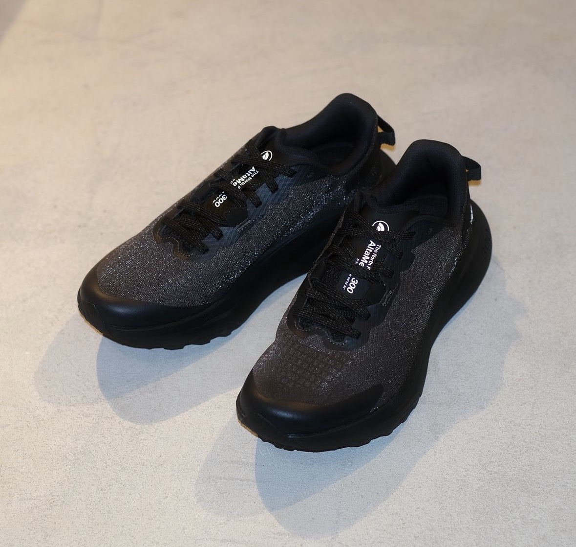 日本 THE NORTH FACE ALTAMESA 300