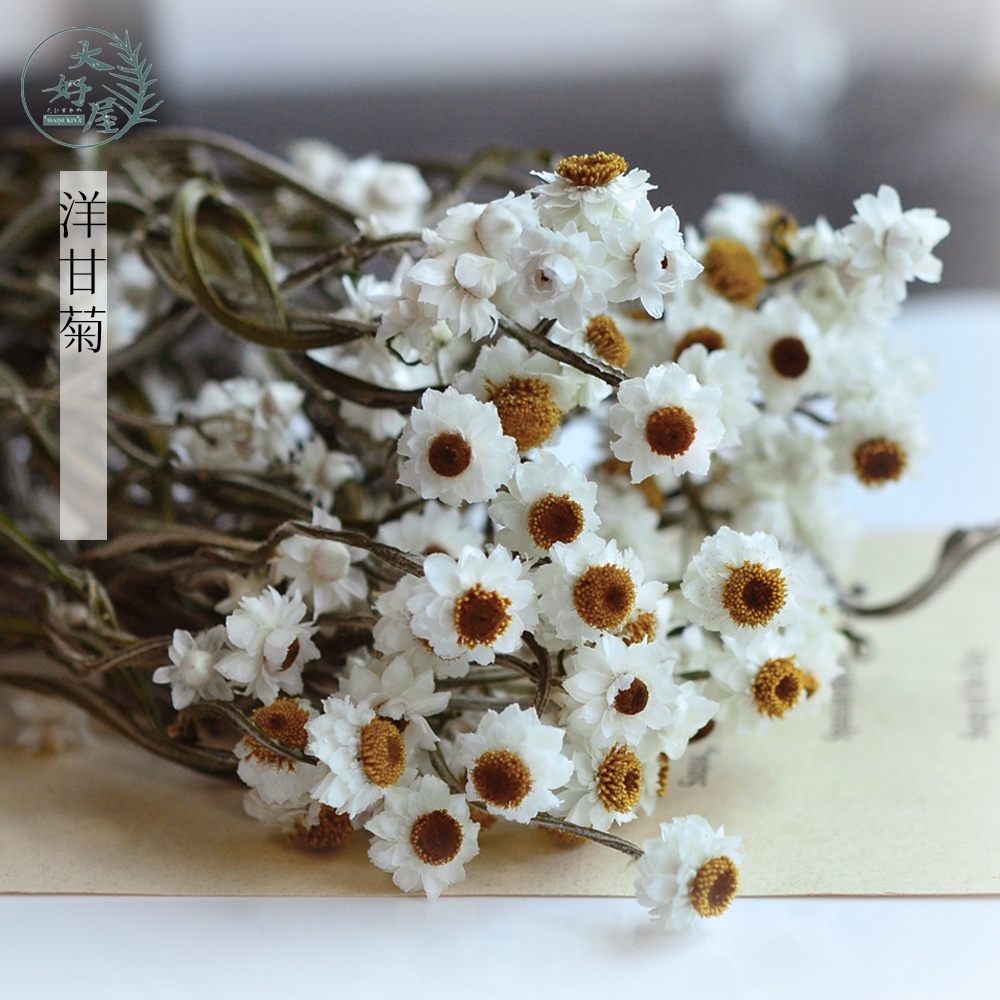 乾燥洋甘菊【大】