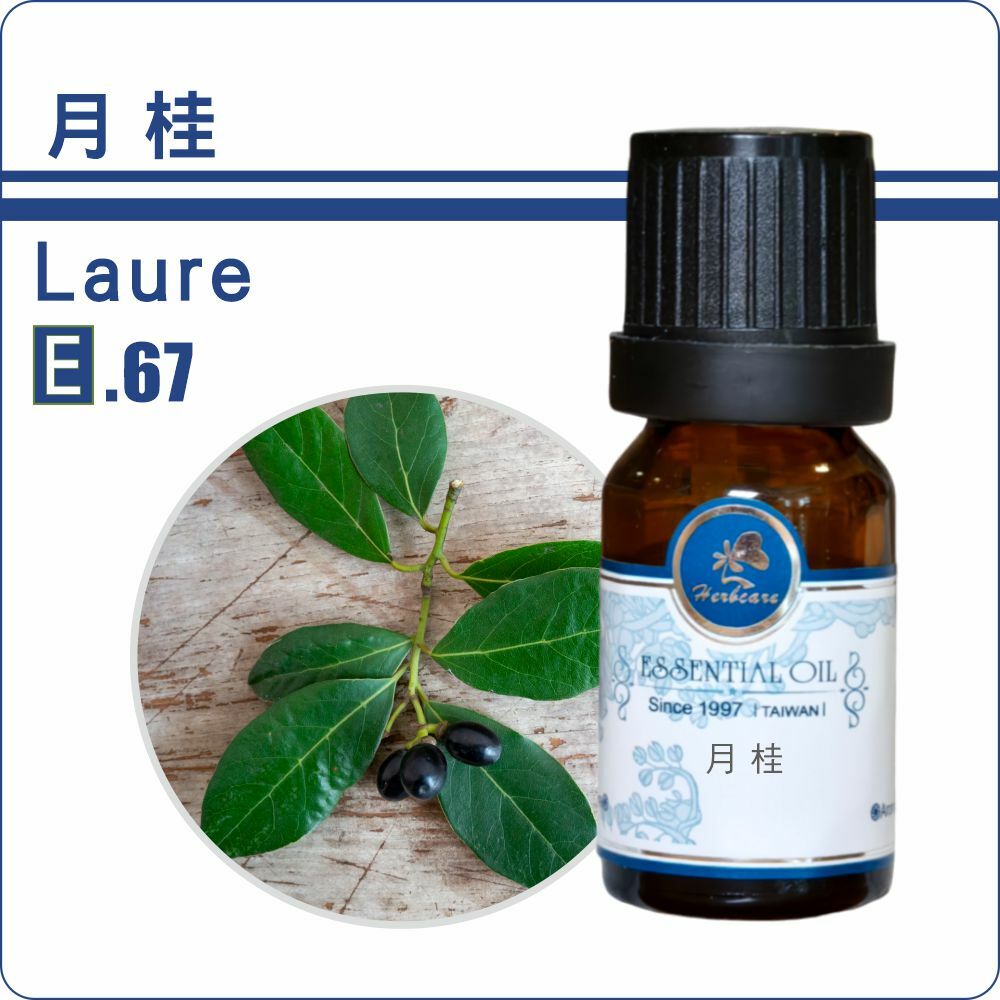 中國小農月桂純精油