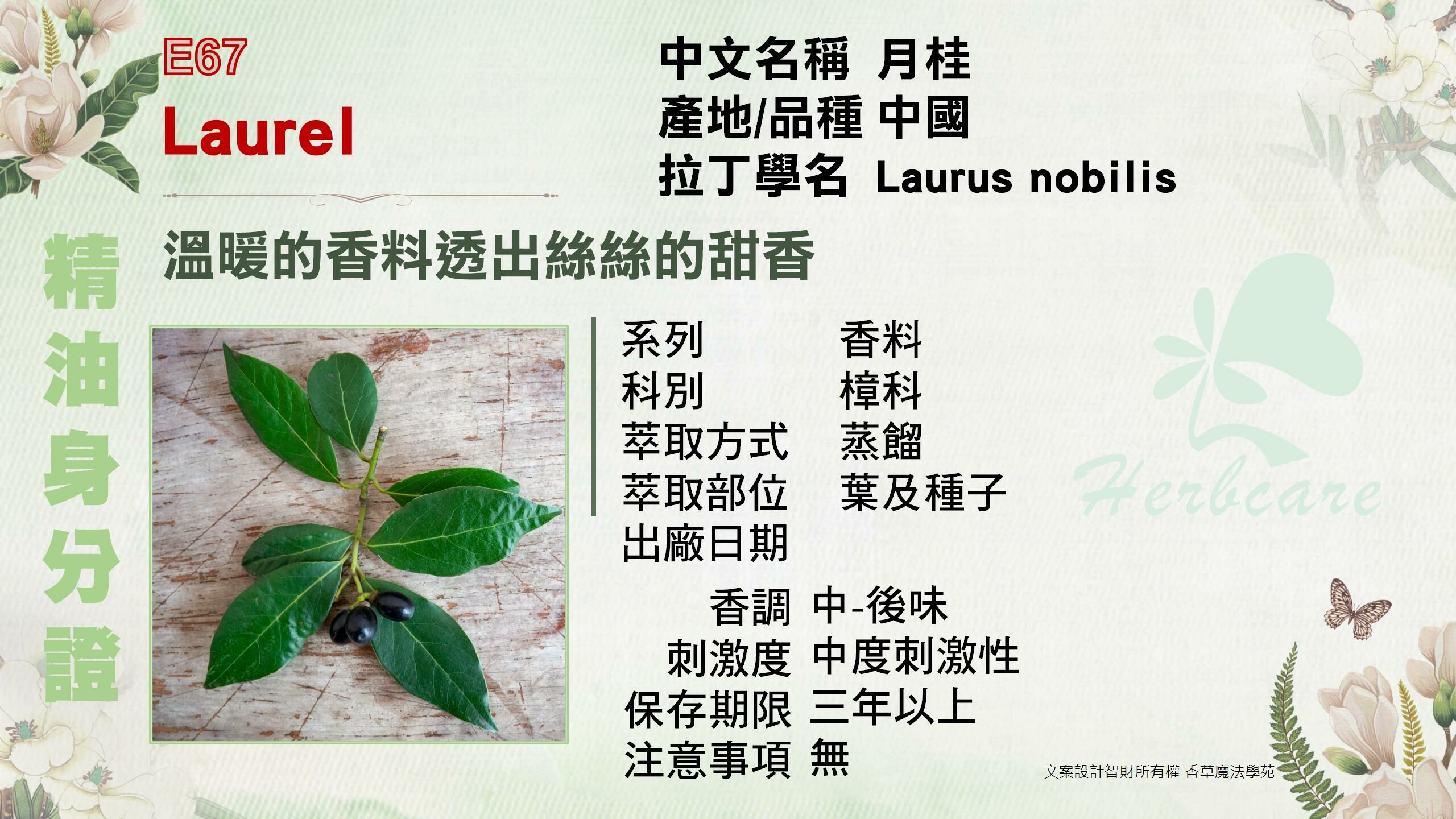 中國小農月桂純精油