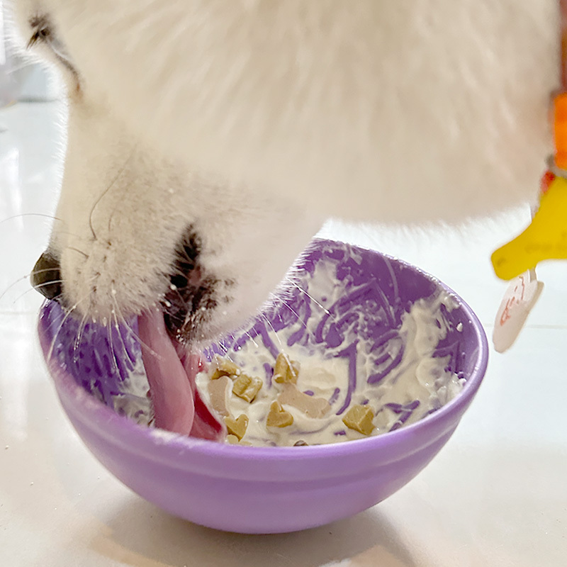 美國Sodapup 花園搖搖舔食碗