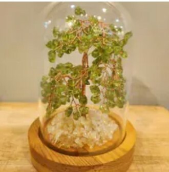 [S] GEMZ & CO HLCT SMALL GLASS DOME TREE 14cm x 10cm, PERIDOT, W501 (W501)