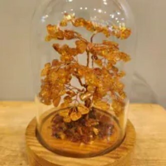 [S] GEMZ & CO HLCT SMALL GLASS DOME TREE 14cm x 10cm, AMBER, W503 (W503)