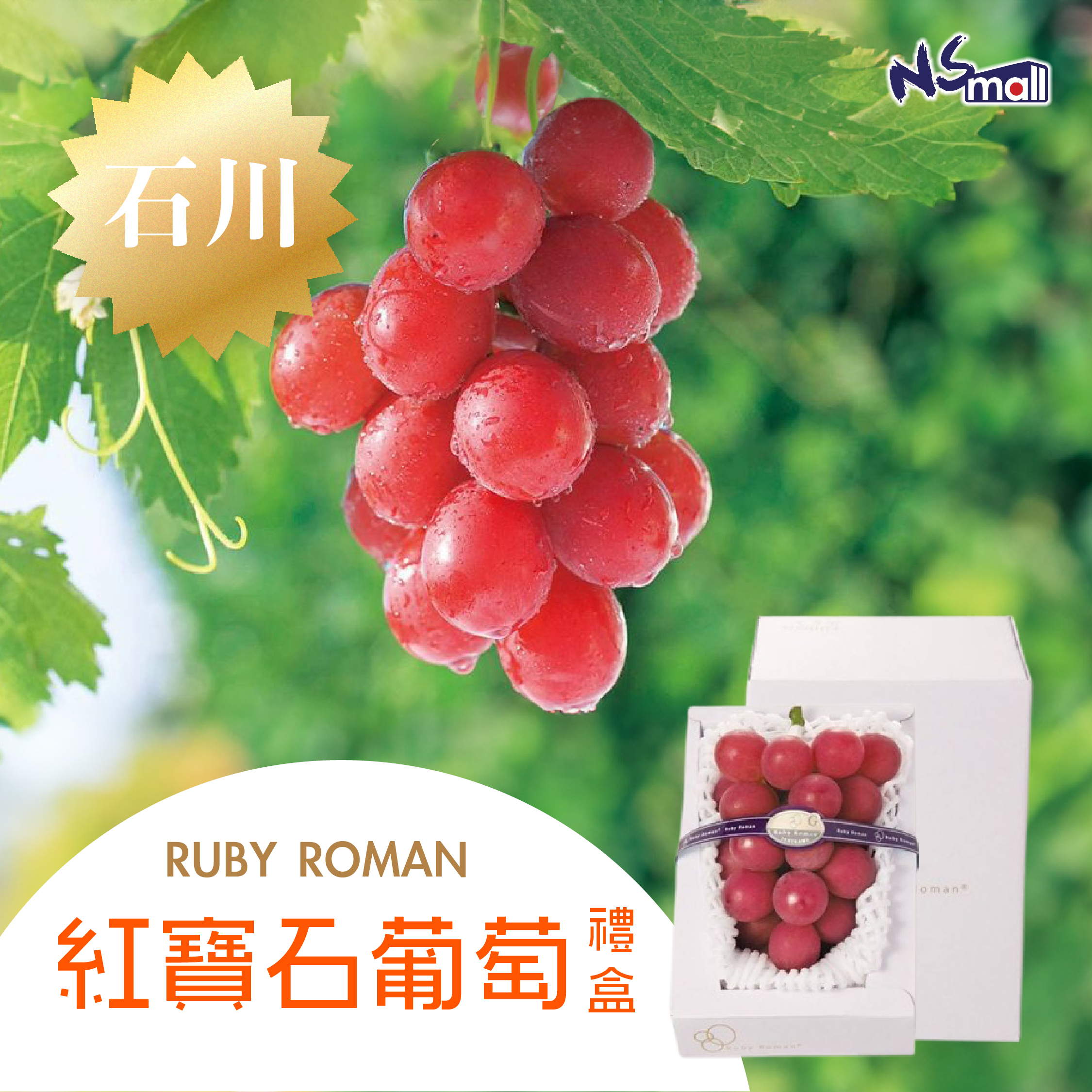 【予約】 石川RUBY ROMAN紅寶石葡萄(禮盒裝) 約600-700G (1房)