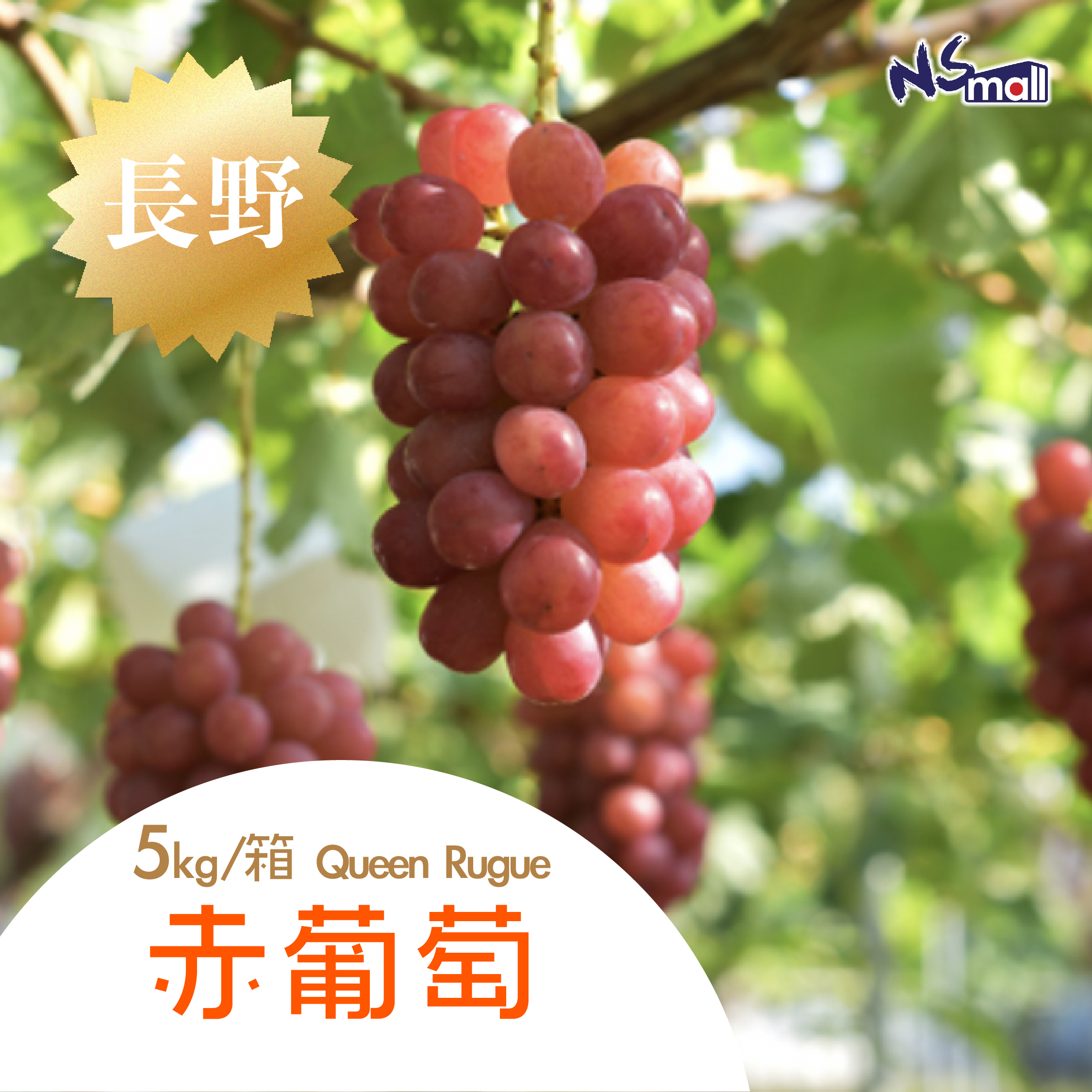 長野Queen Rugue赤葡萄 約5kg/箱 (6-9房)