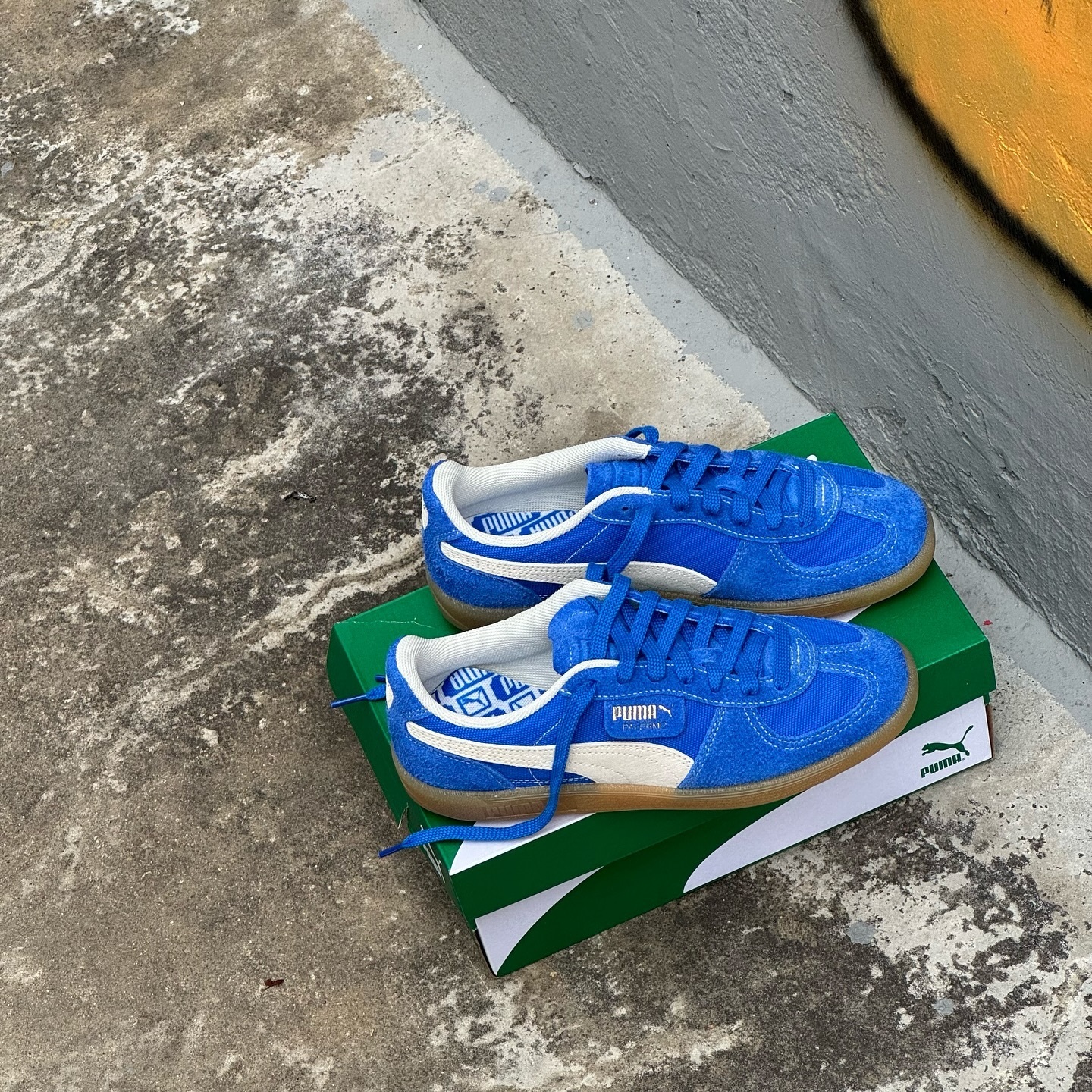 PUMA Palermo ROSÉ 同款 大學藍 復古 德訓鞋 39684101