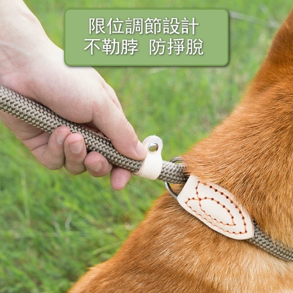 狗狗牽引繩防爆沖P鏈【常規款1.8米長*1.6CM直徑（米色）】