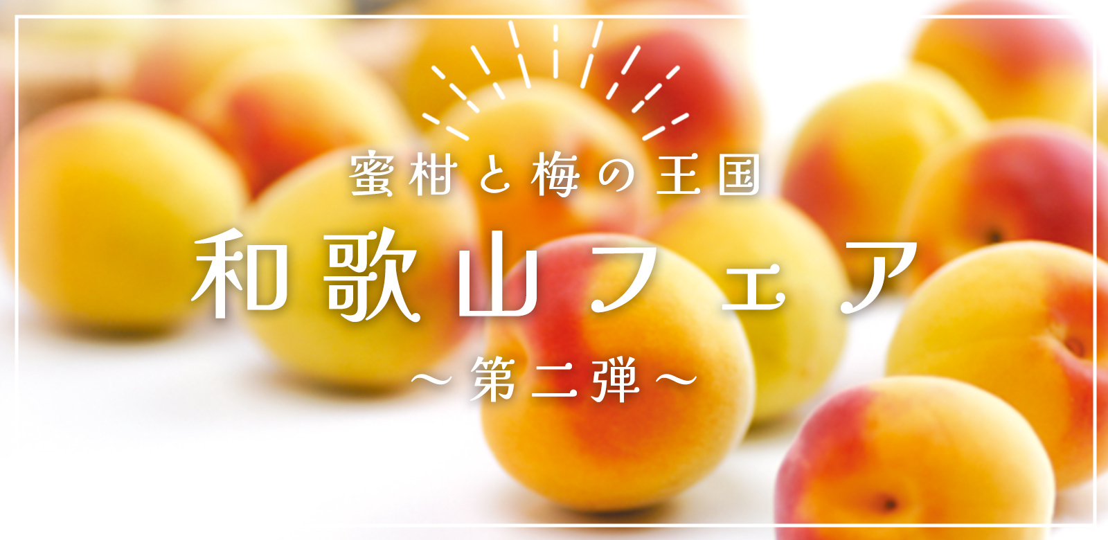 蜜柑と梅の王国　和歌山フェア第二弾