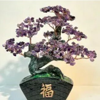 [S] GEMZ & CO HLCT BRIDGE POT TREE, AMETHYST, W25 (W25)