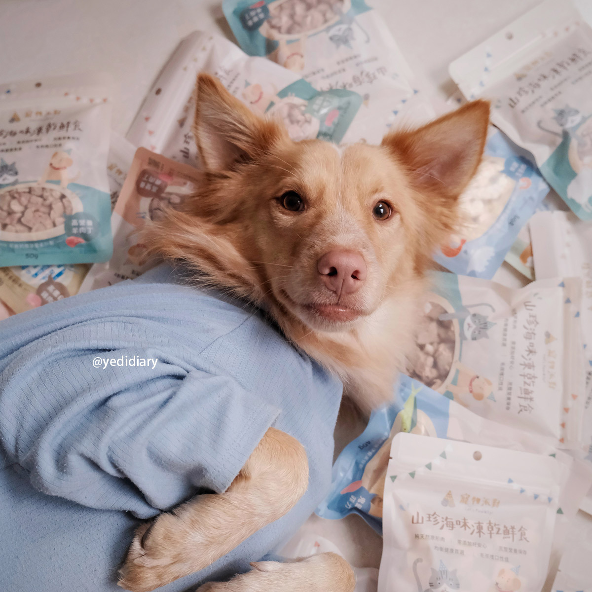 鮮酥丁香魚 40公克 (6入)