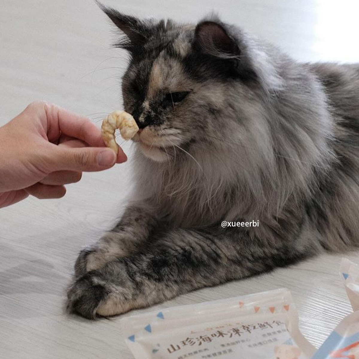 【隨手淺嚐包】爆蛋柳葉魚 18公克