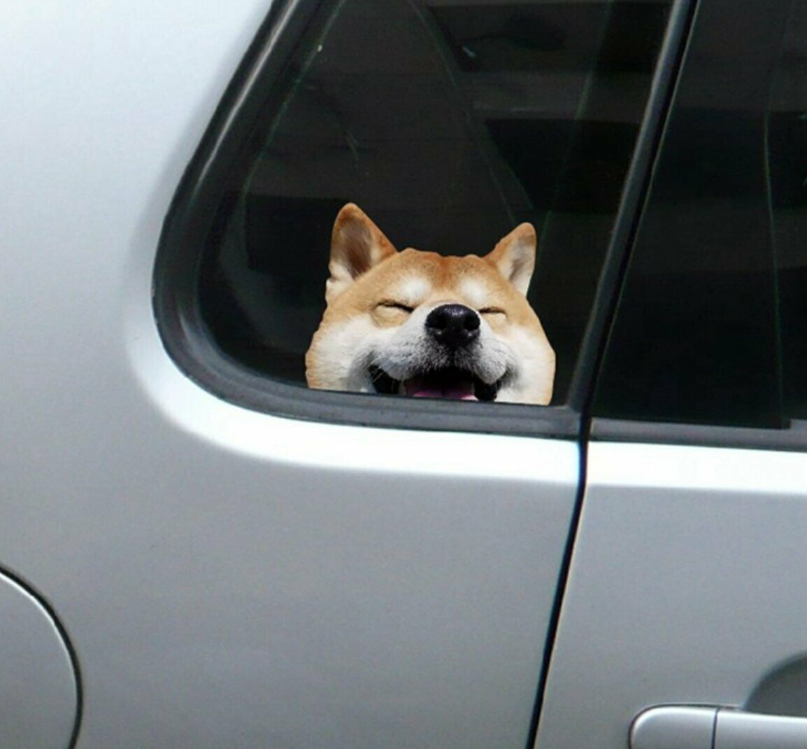熱賣汽車貼紙 柴犬貼紙 笑瞇瞇狗卡通車貼 可愛小狗狗車貼 搞笑貼紙劃痕傷痕貼