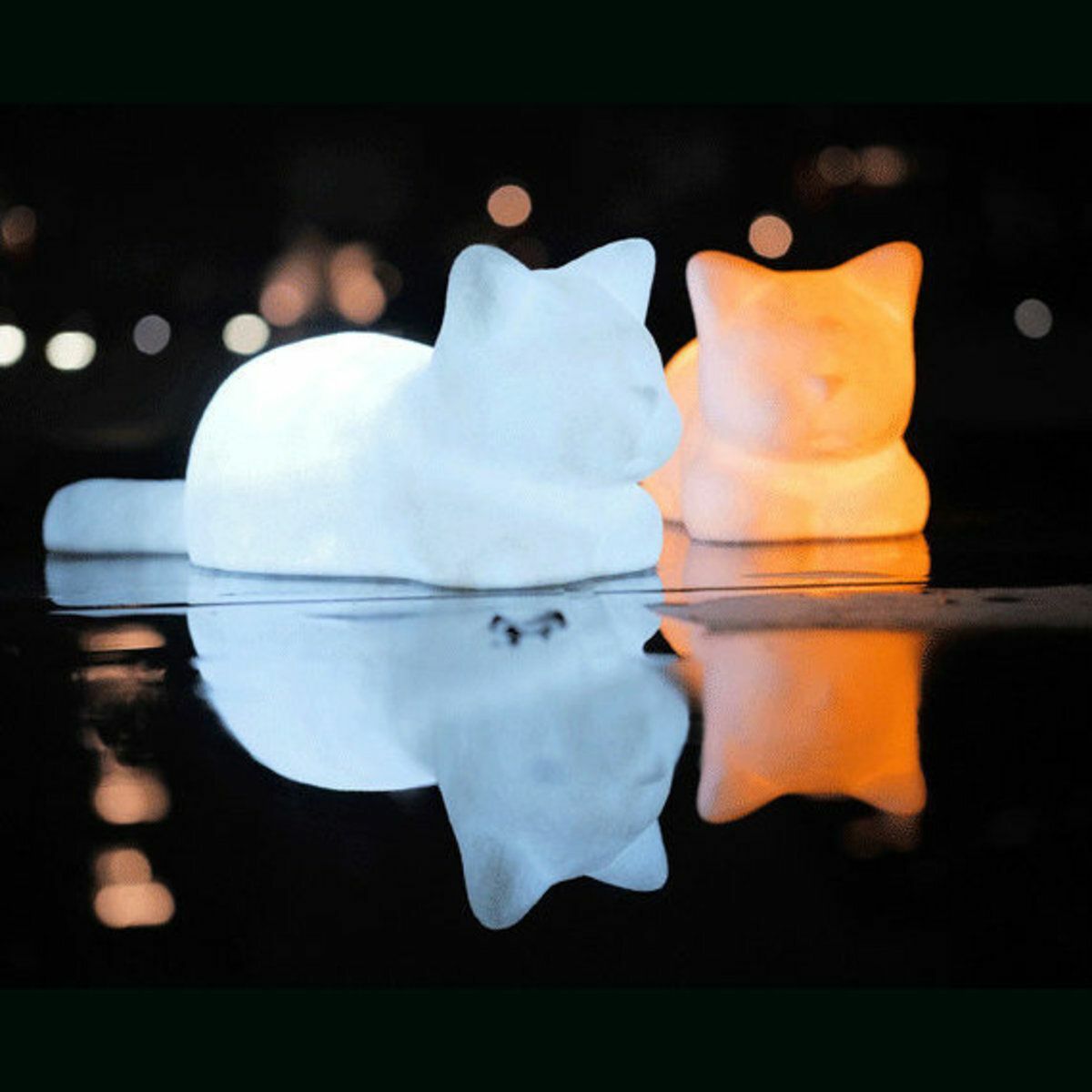 Popular two-color cat LED night light, ambient light for girls, a memorable birthday gift for girlfriends and besties
