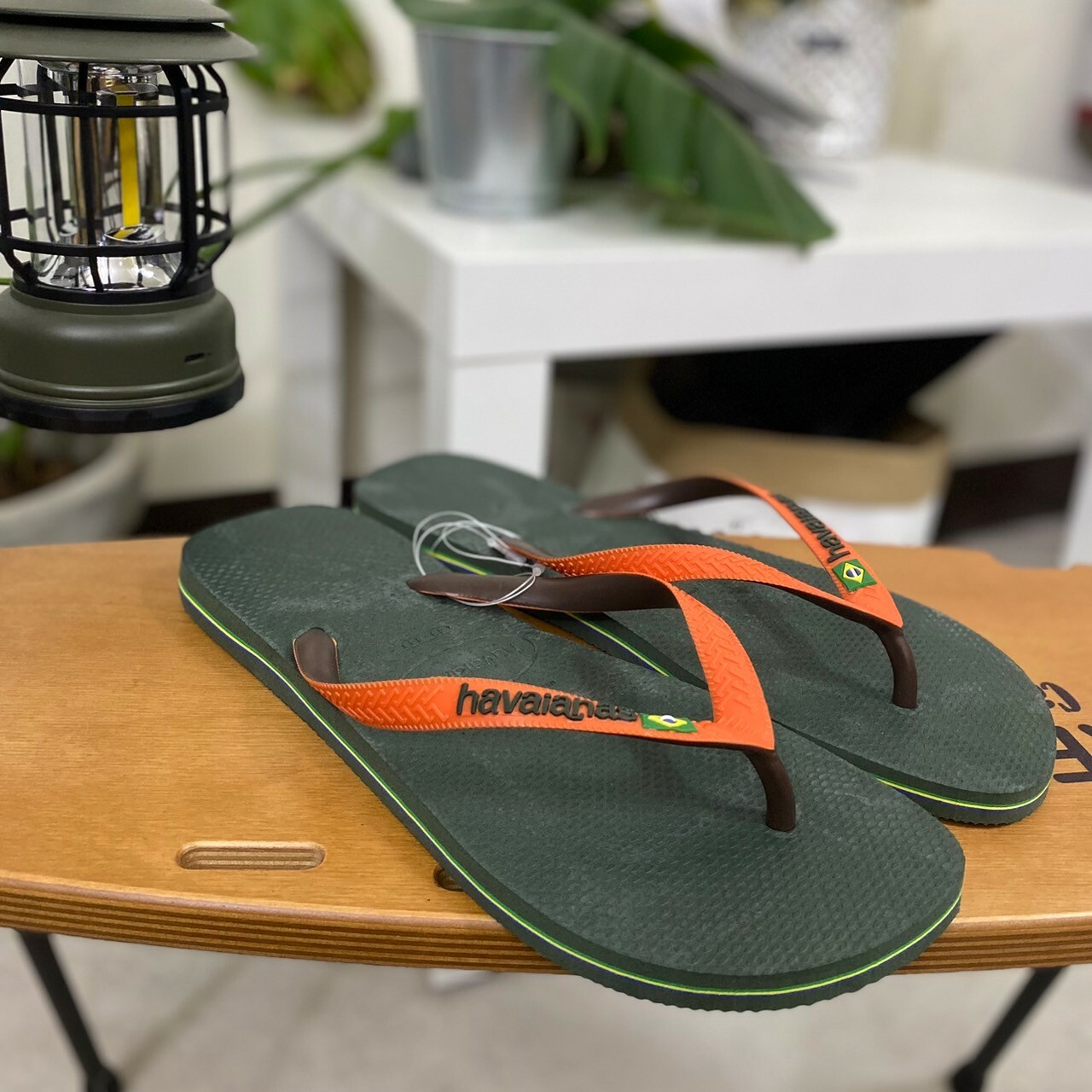 Havaianas 哈瓦仕 男鞋 雙色 國旗 綠橘 4123206-7074U