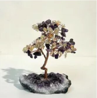 [S] GEMZ & CO HLCT RAW AMETHYST DRUSE BASE TREE, HIGH END CITRINE/AMETHYST, W62 (W62)