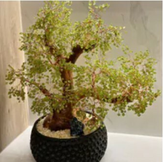 [S] GEMZ & CO HLCT HIGH END CITRINE BASE FLOWER ENGRAVED POT TREE, HIGH END PERIDOT, W69 (W69)