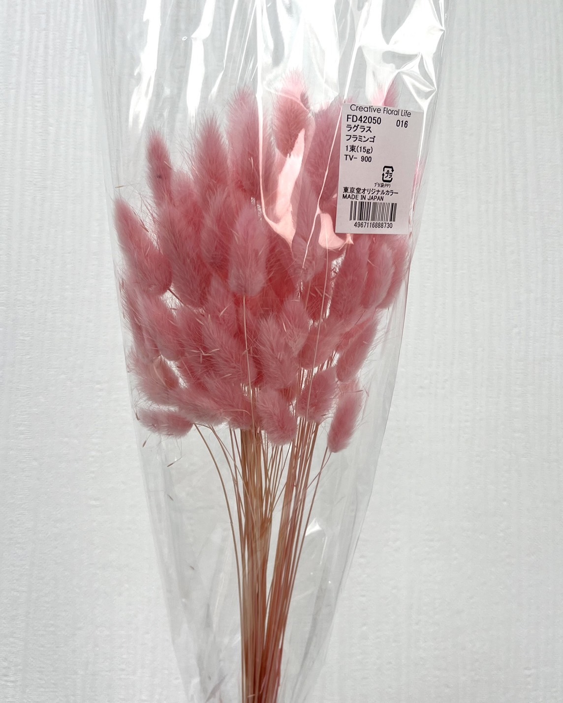 日本兔尾草 42050-016