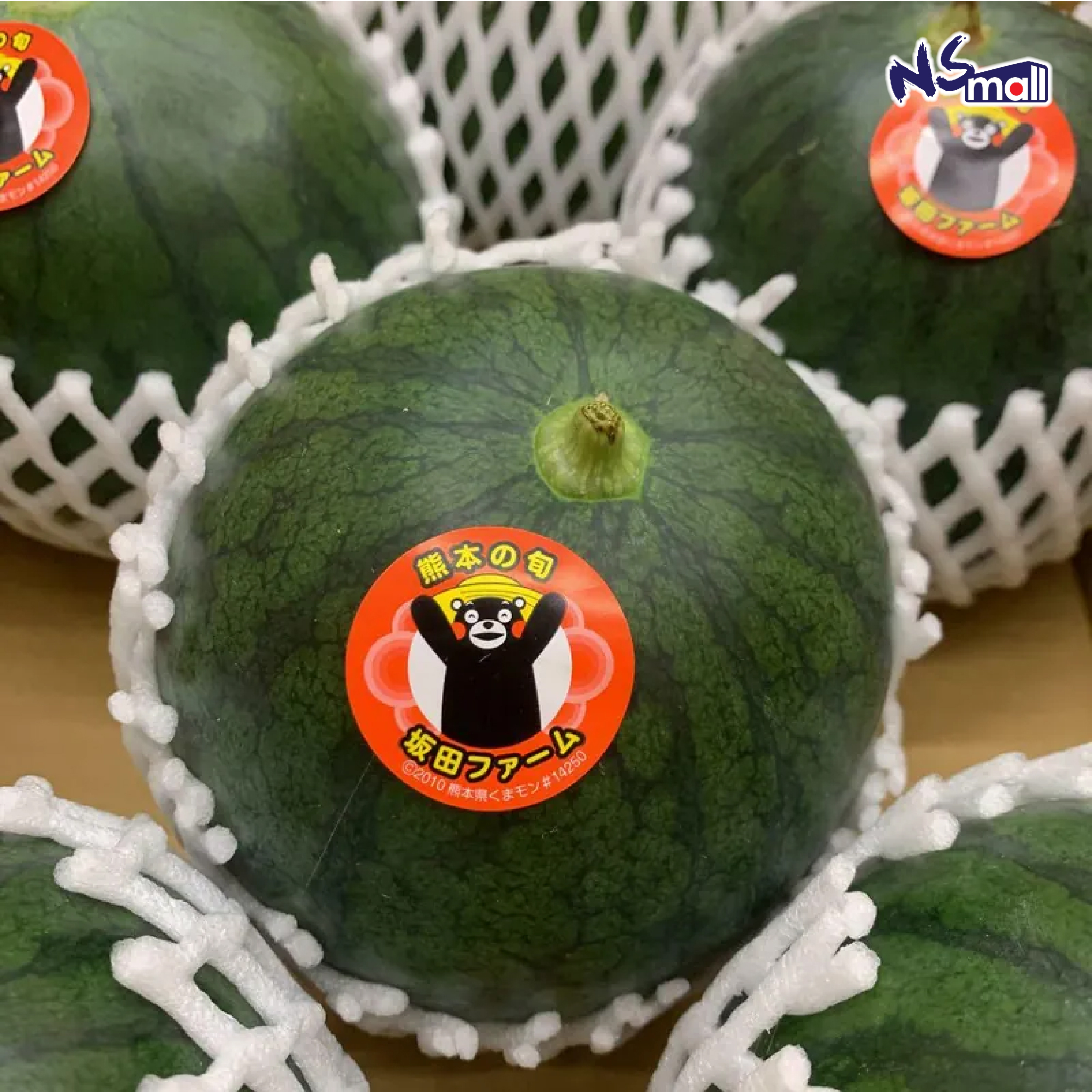 熊本小玉西瓜 約8kg (5-6玉)