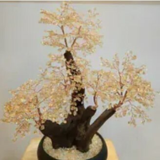 [S] GEMZ & CO HLCT BIG NATURAL DU JUAN WOOD TREE, HIGH END CITRINE, W78 (W78)