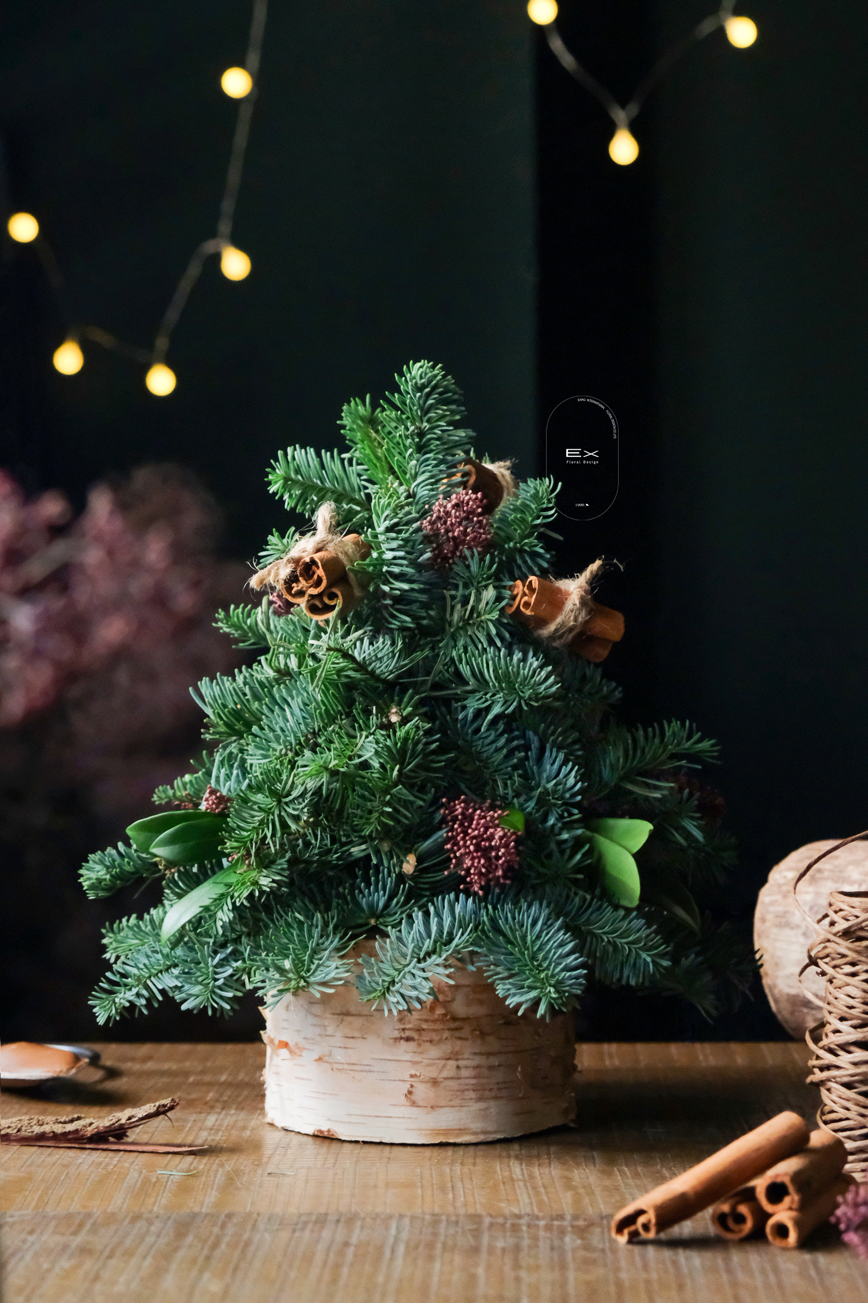 北美諾貝松 · 木香松語 Noble Fir｜桌上型 白樺木座