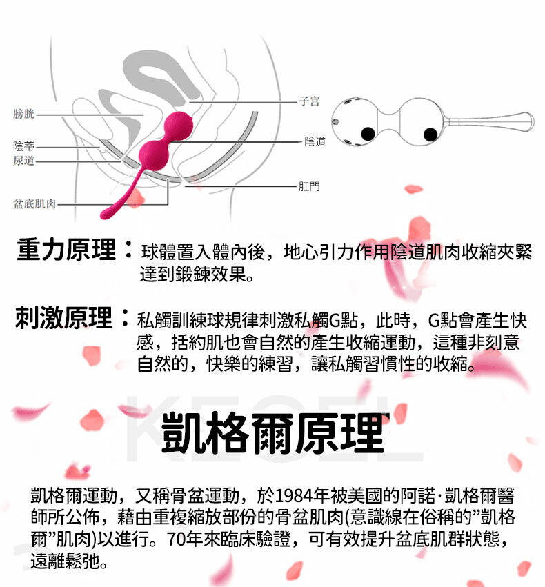 夜櫻｜凱格爾聰明球｜聰明球