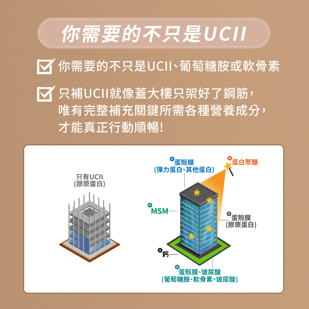 雲飛選擇蛋殼膜保健食品穩定立-幫你完整補充關鍵保養所需,你需要的不只是UCII、葡萄糖胺或軟骨素!