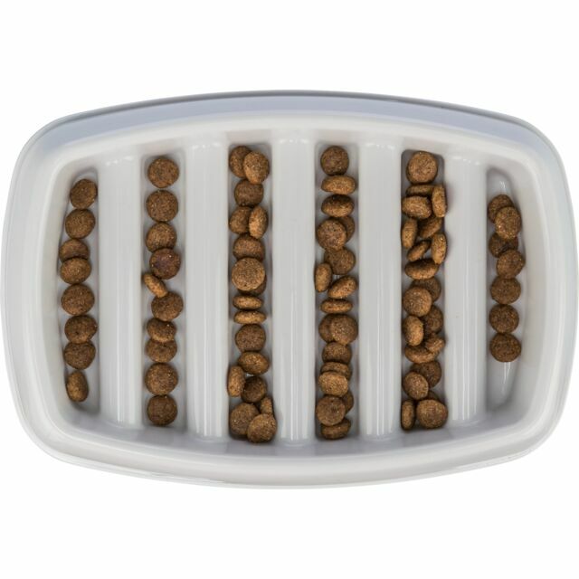 TRIXIE Slow Feeding Plastic Bowl (for dogs & cats)
