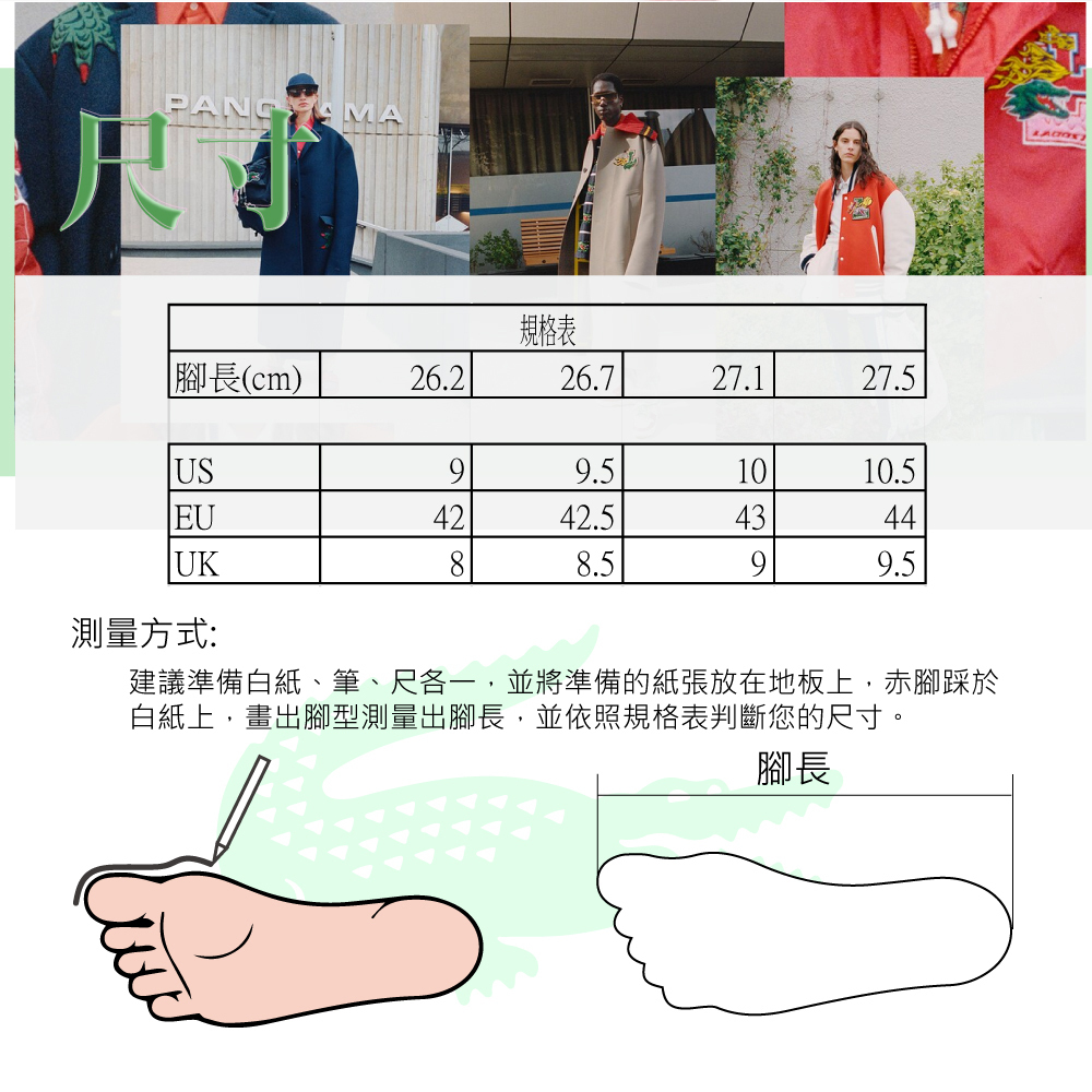 LACOSTE 運動鞋全景展示