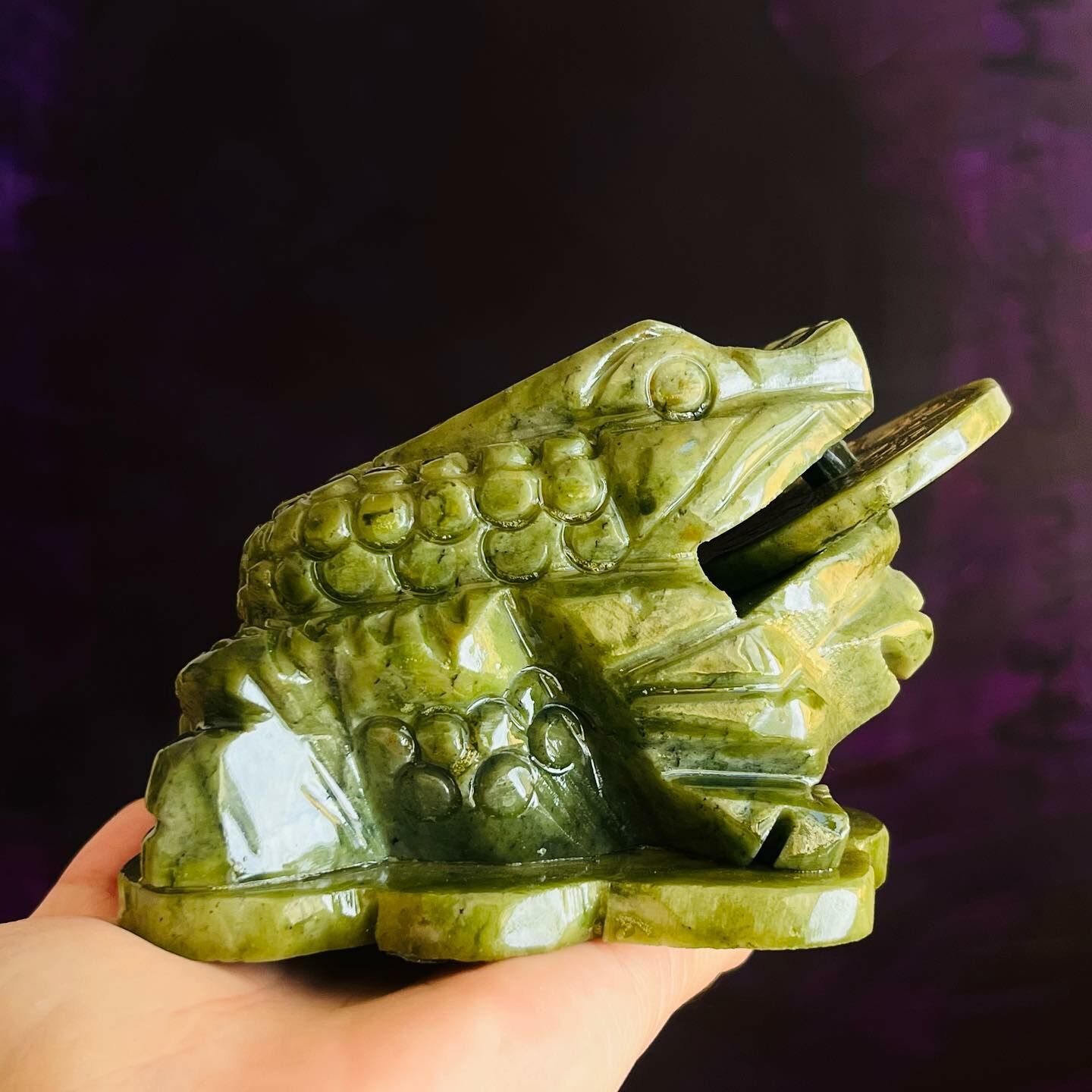 [原石] 蛇紋石 招財蟾蜍 / 咬錢蟾蜍 招財進寶 水晶擺件