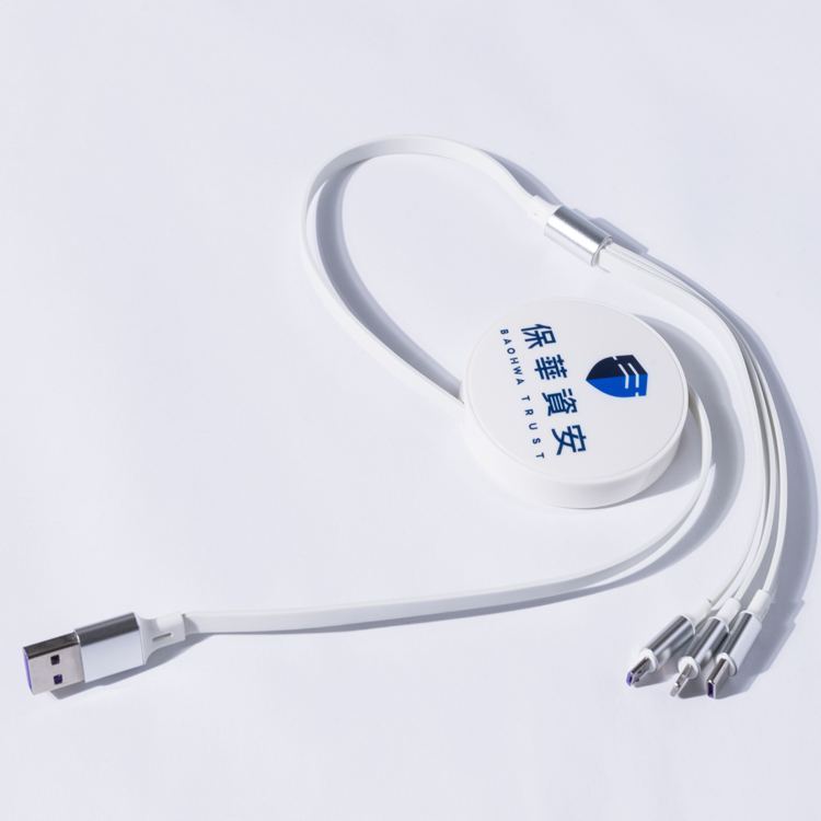 Check Point 三合一收納數據線