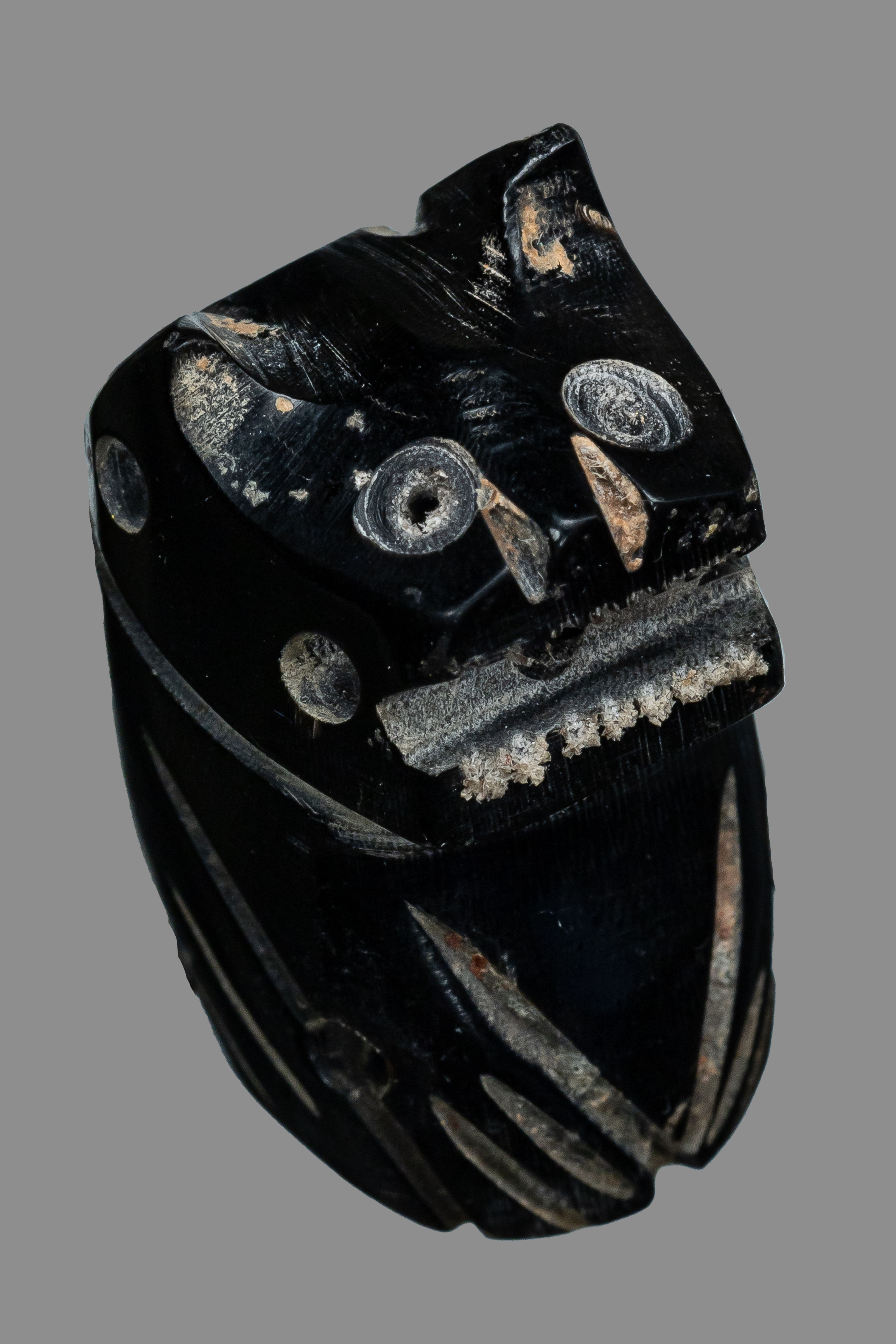 『泰國佛牌』瑪哈沙拉刊府 龍婆素里揚 『老虎』水牛角 帕雅 舌 崙咧 瑪哈巴拉米 09240911