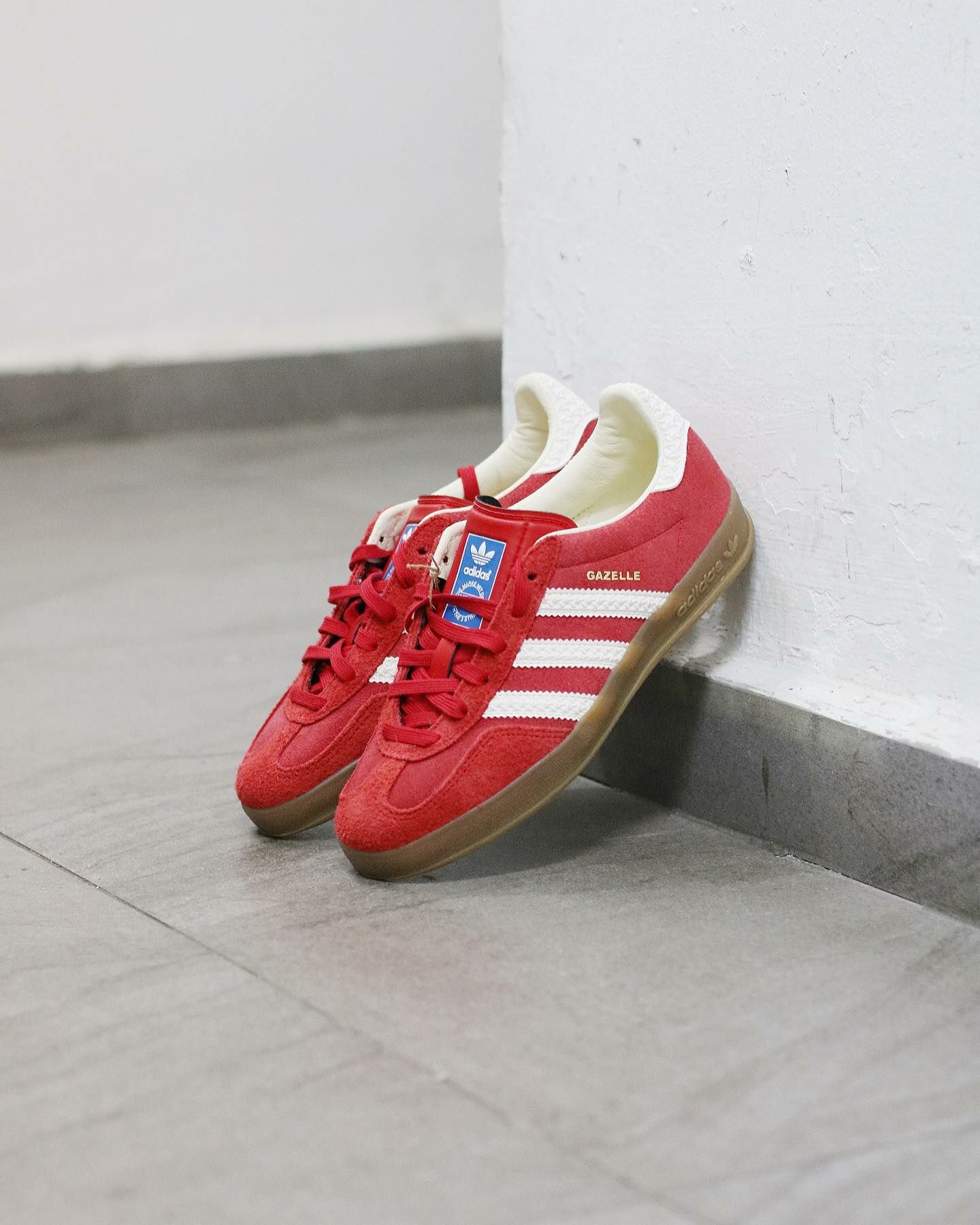 Adidas Originals Gazelle Indoor Red White