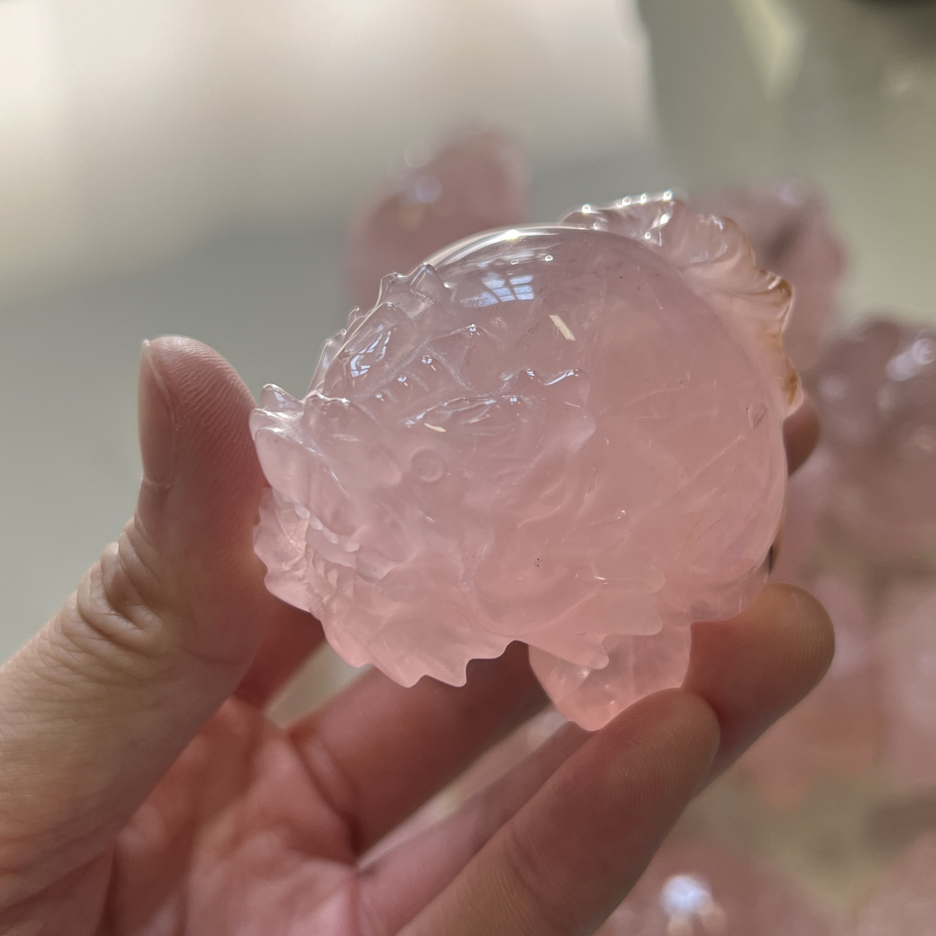 高級數貨尾粉晶龍龜（隨機發貨）