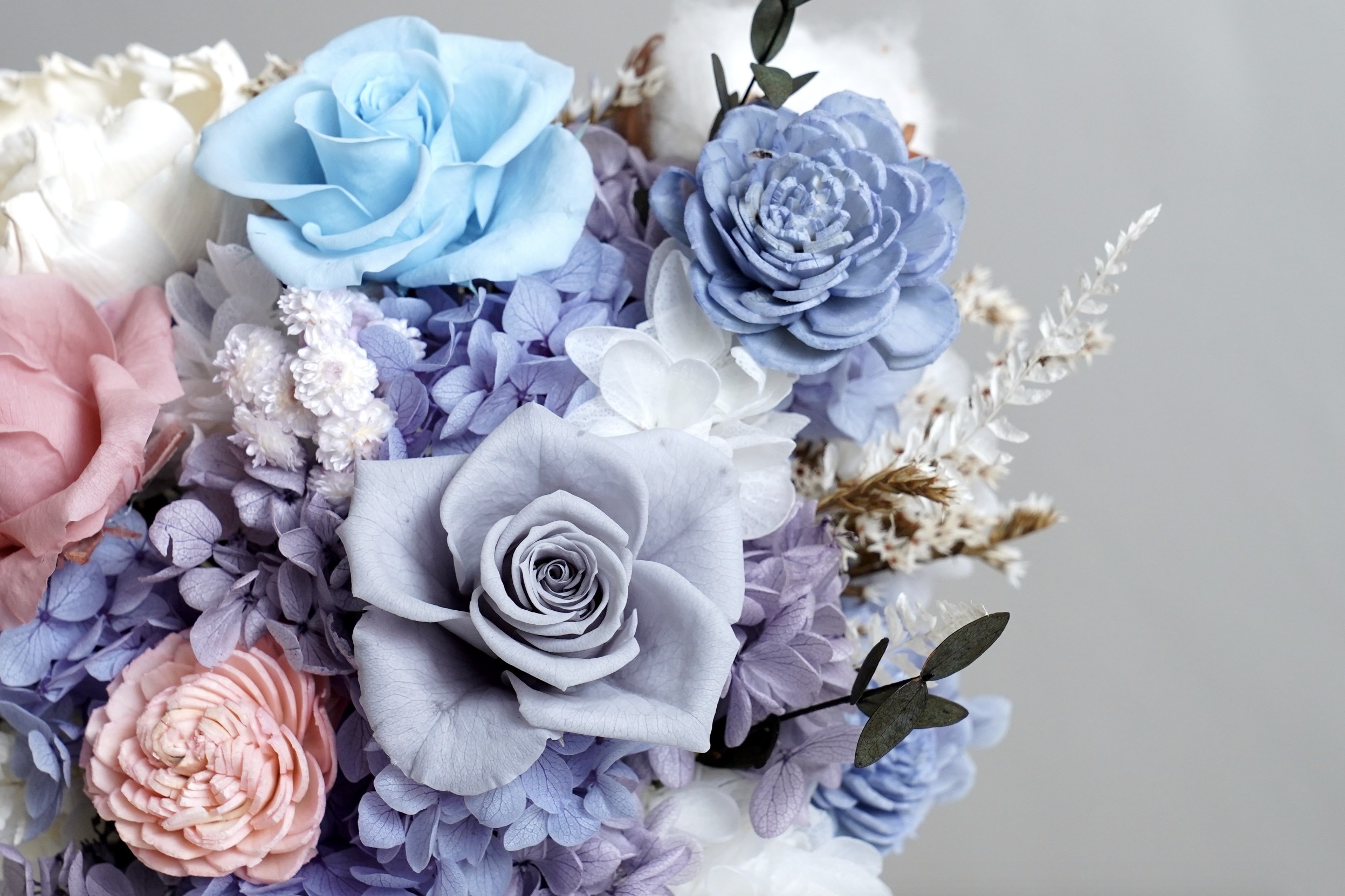 馬卡龍盆花推薦,開幕盆花推薦,台北代客送花,開幕盆栽永生花