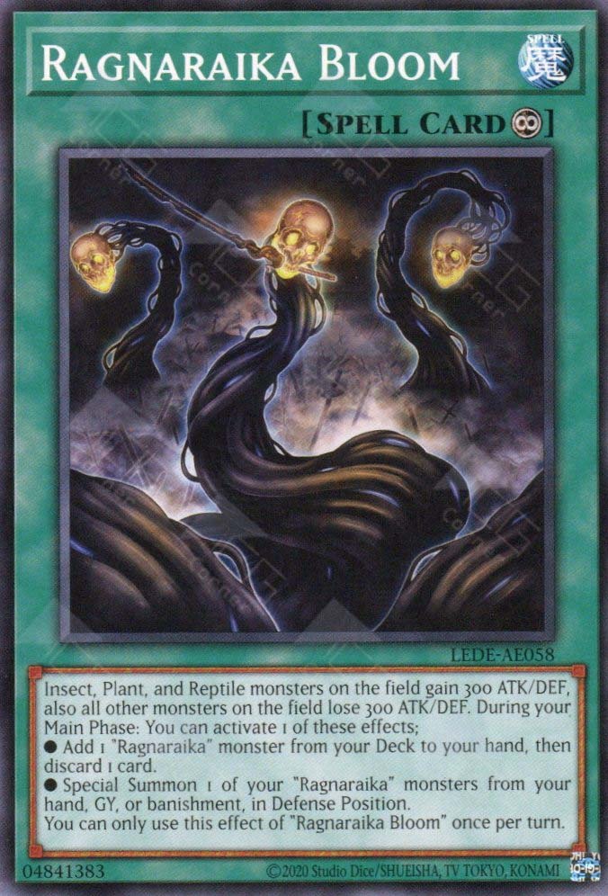 LEDE-AE058 Ragnaraika Bloom