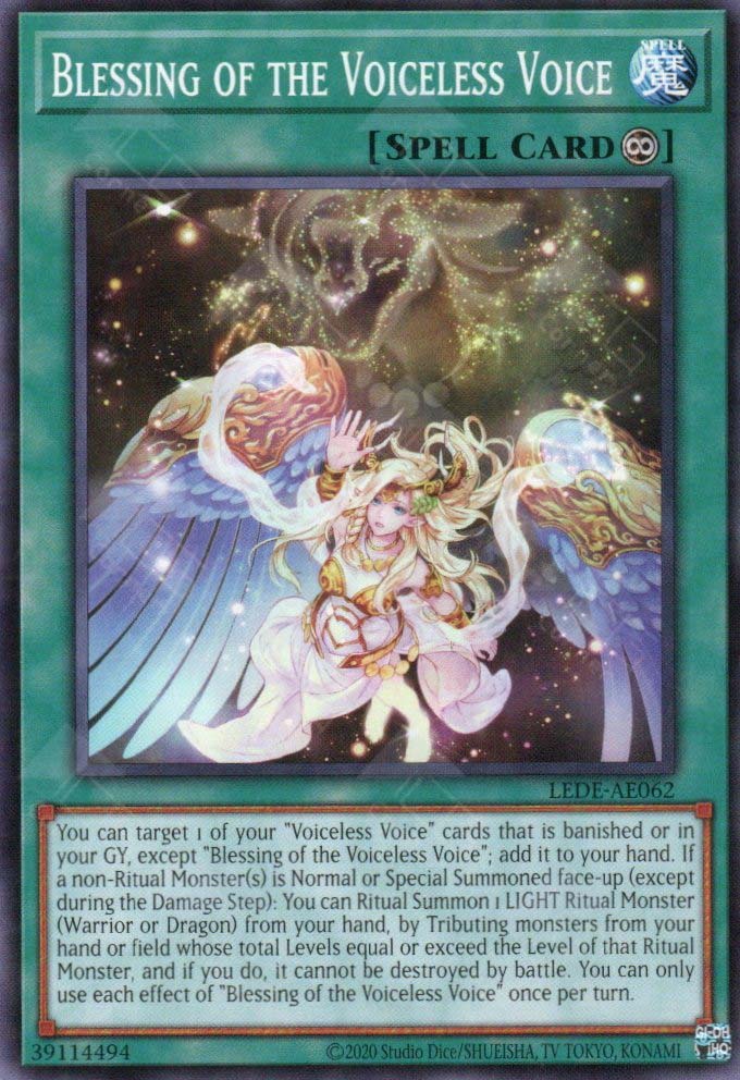 LEDE-AE062 Blessing of the Voiceless Voice