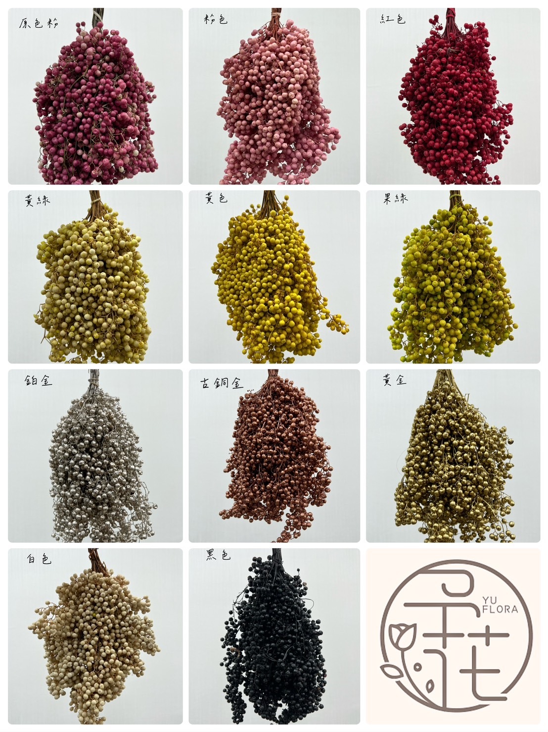 秘魯乾燥胡椒果(各色)