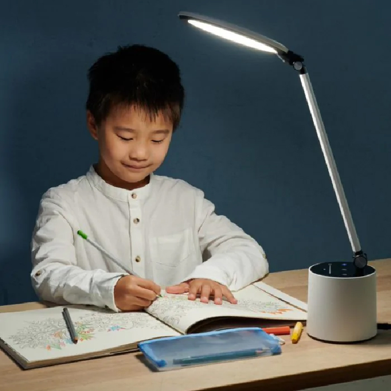 66156 Darwin Desklight