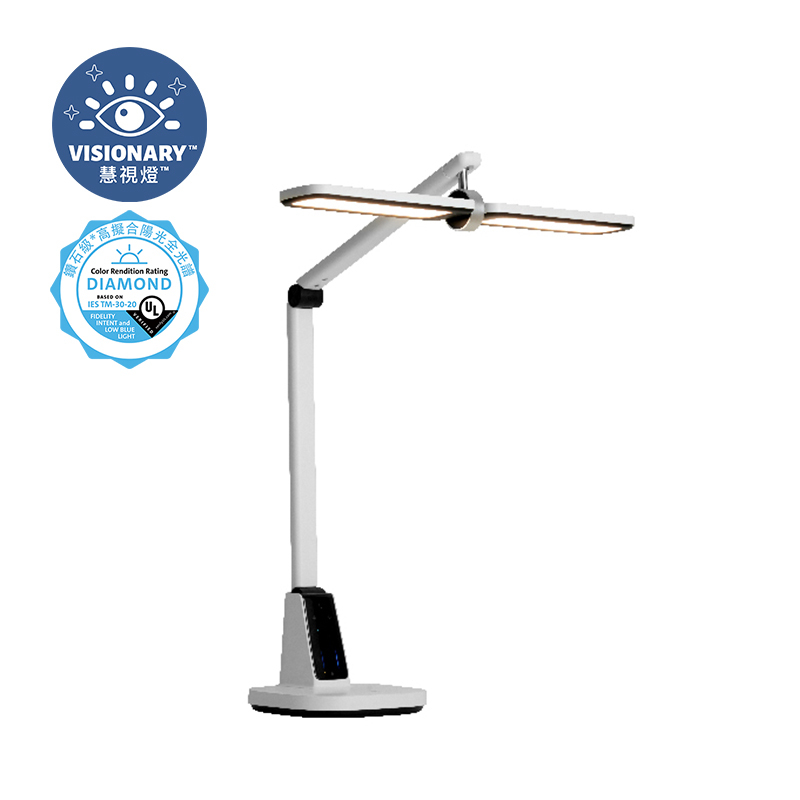 66157 A3 Professional Desk Light