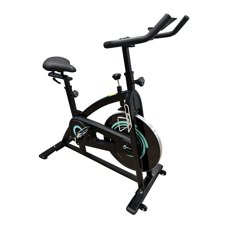 進階款 磁控室內單車13KG