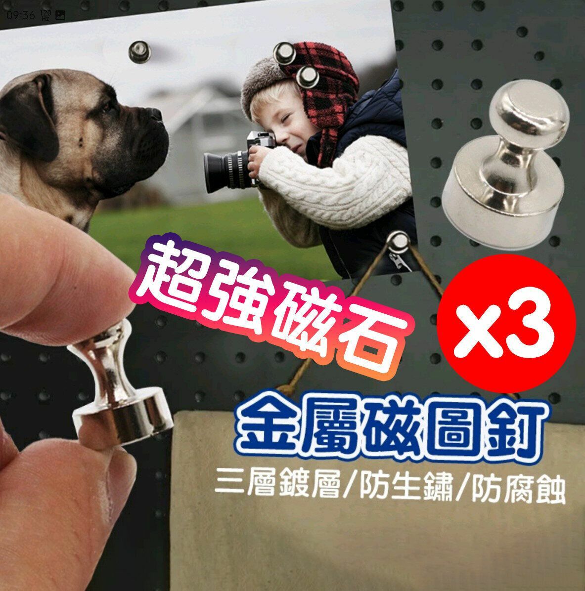 熱賣3個 金屬磁圖釘 磁鐵圖釘 圖釘 釹鐵硼圖釘 釹鐵硼圖釘 吸磁石圖釘 磁圖釘 金屬圖釘 文具 D12*16小金屬磁圖釘 磁鐵 磁 磁性 強磁