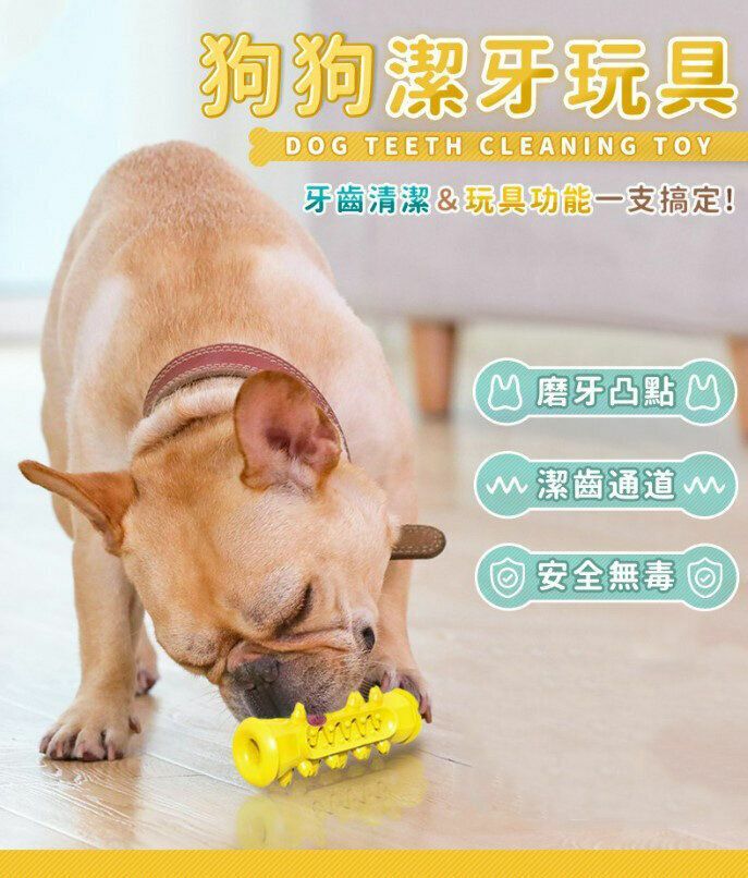 熱推狗狗潔牙神器 狗玩具 寵物玩具 寵物牙刷 狗狗潔牙玩具 牙刷玩具 啃咬玩具 狗磨牙 狗牙刷 狗狗磨牙棒玩具骨頭形潔齒球牙刷咀嚼玩具耐啃咬狗咬膠