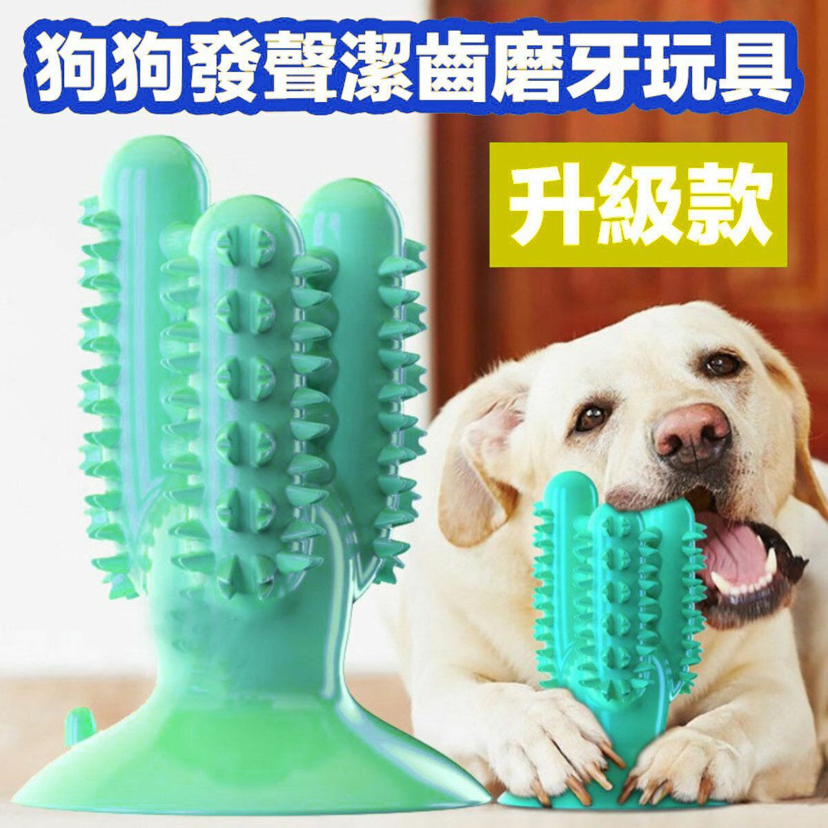 熱推升級狗狗發聲潔齒磨牙玩具/耐咬寵物玩具 狗牙刷狗狗磨牙潔齒棒漏食器耐啃咬狗互動玩具