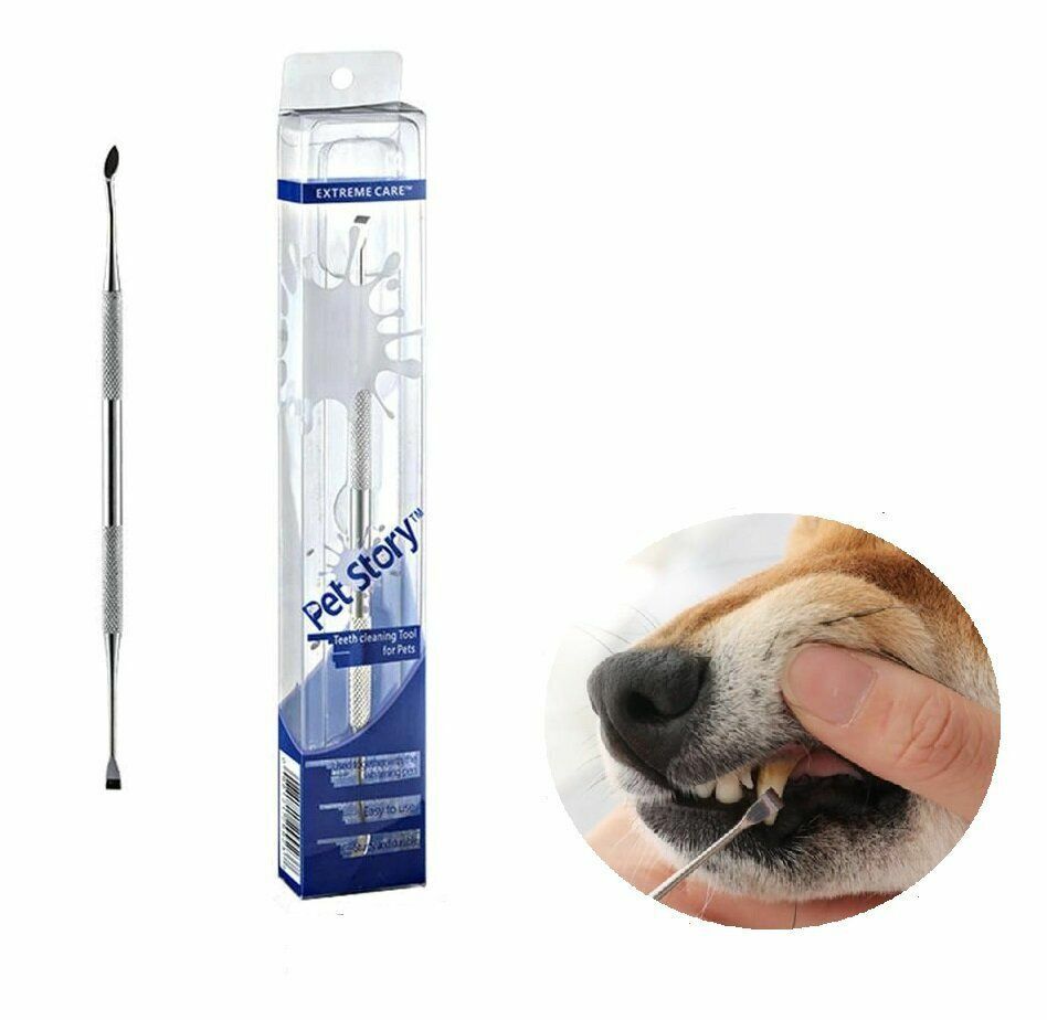 熱推美國PET STORY 寵物潔牙洗牙器 狗牙刷 狗牙刷 讓狗狗自己刷牙 清潔牙齒