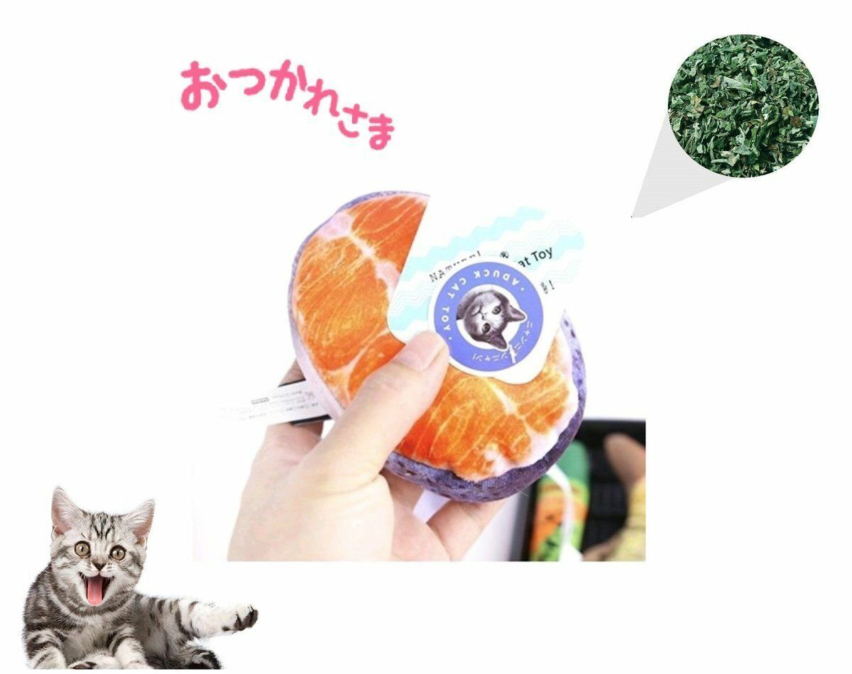 熱推日本人氣 三文魚排 逗貓仿真魚 寵物貓玩具 貓咪玩具 內含貓草 貓草魚玩具