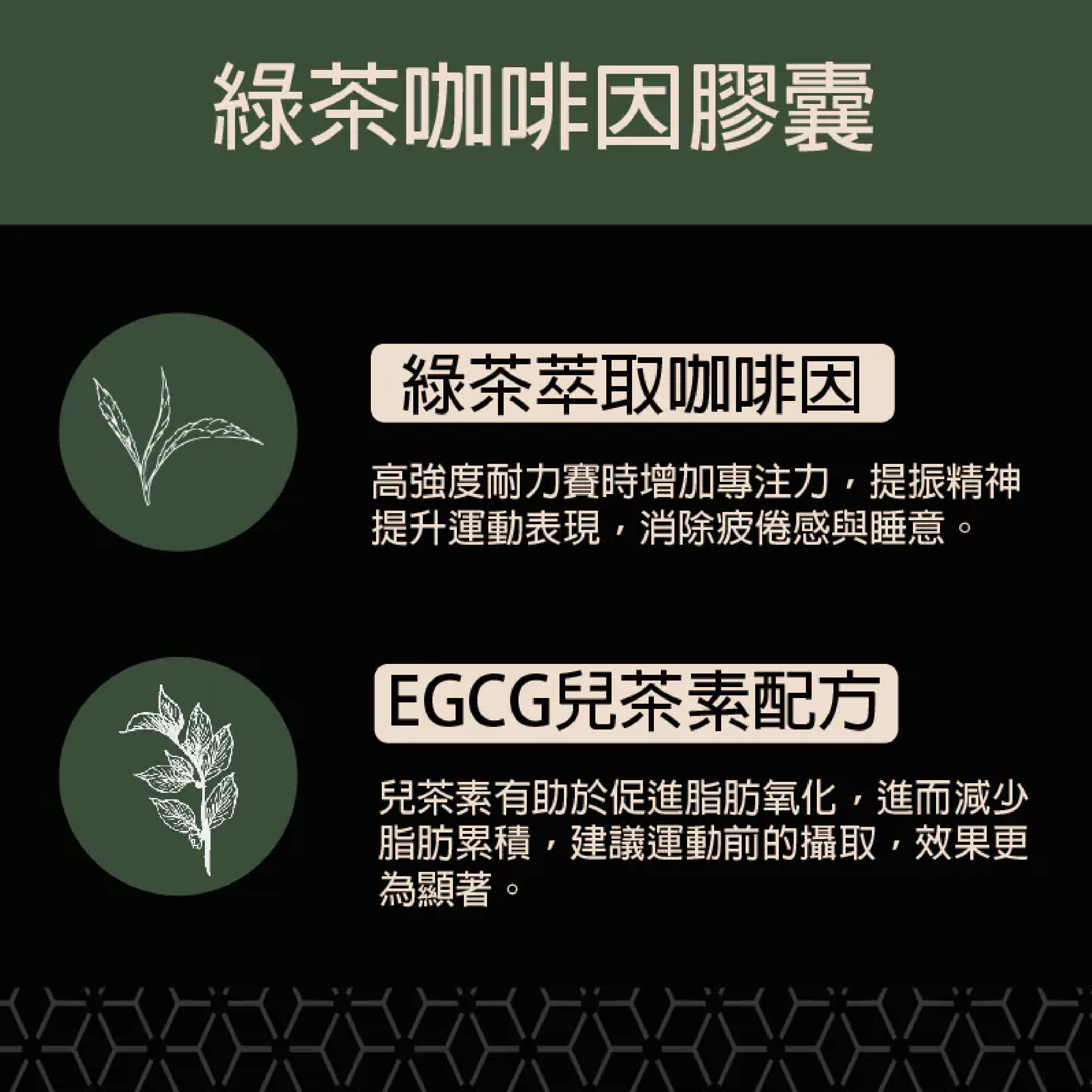 【WiNSPORTS】 綠茶咖啡因膠囊  - 60顆